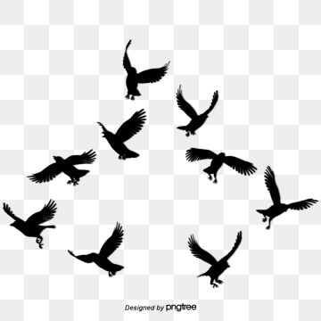 360x360 Bird Silhouette Png Images Vector And Free Download