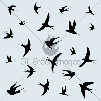 325x325 Bird Vector, Birds Flock Gl Stock Images