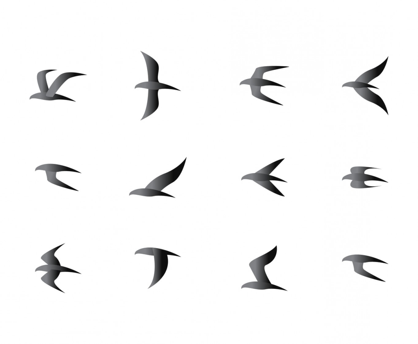 1363x1123 Flock Of Birds Vector Catchsplace