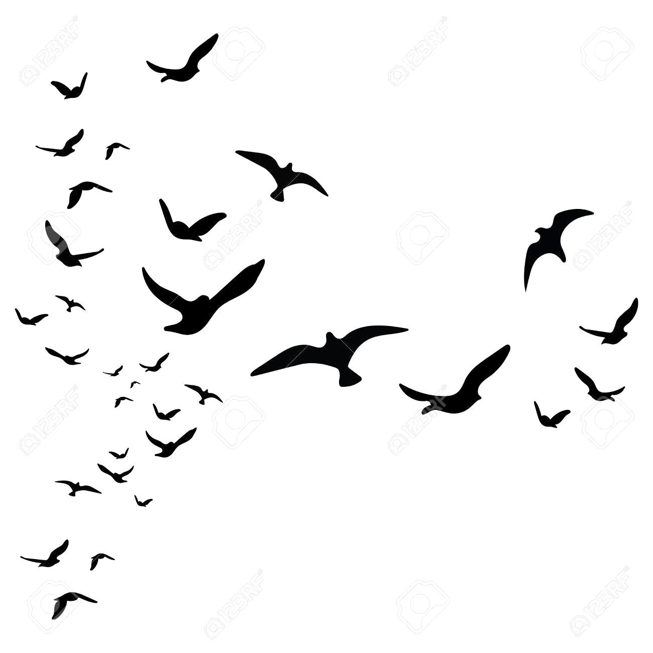 1300x1300 Flock Of Birds Vector Free At Getdrawings Com For Personal Photo