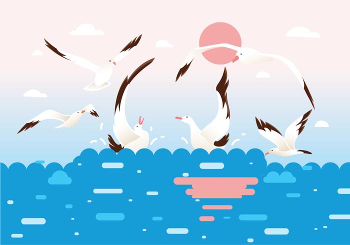 700x490 Flock Of Albatross Birds Vector