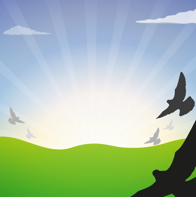 646x649 Flock Of Birds Vector Free Graphics Uihere