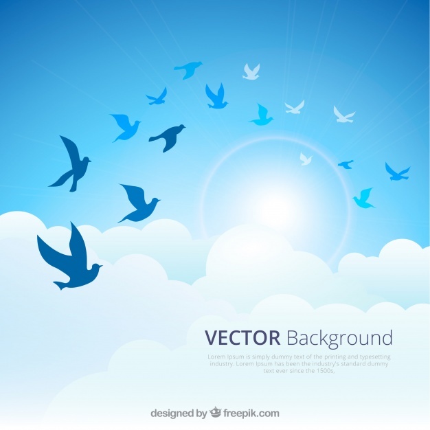 626x626 Flying Bird Vectors, Photos And Free Download