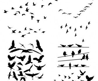 336x280 Free Bird Vector Free Download Clip Art Free Clip Art