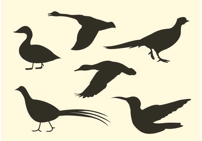 700x490 Free Bird Vector Silhouette Pack