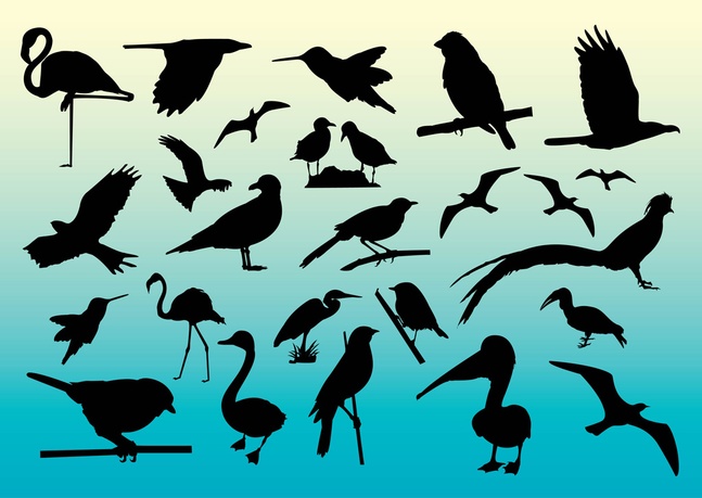 647x459 Free Birds Vector Clip Arts, Clip Art