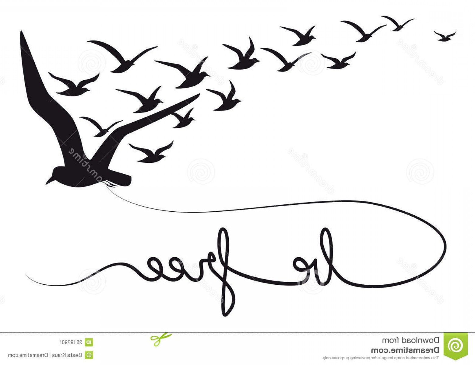 1560x1200 Free Vector Birds On A Line Cqrecords