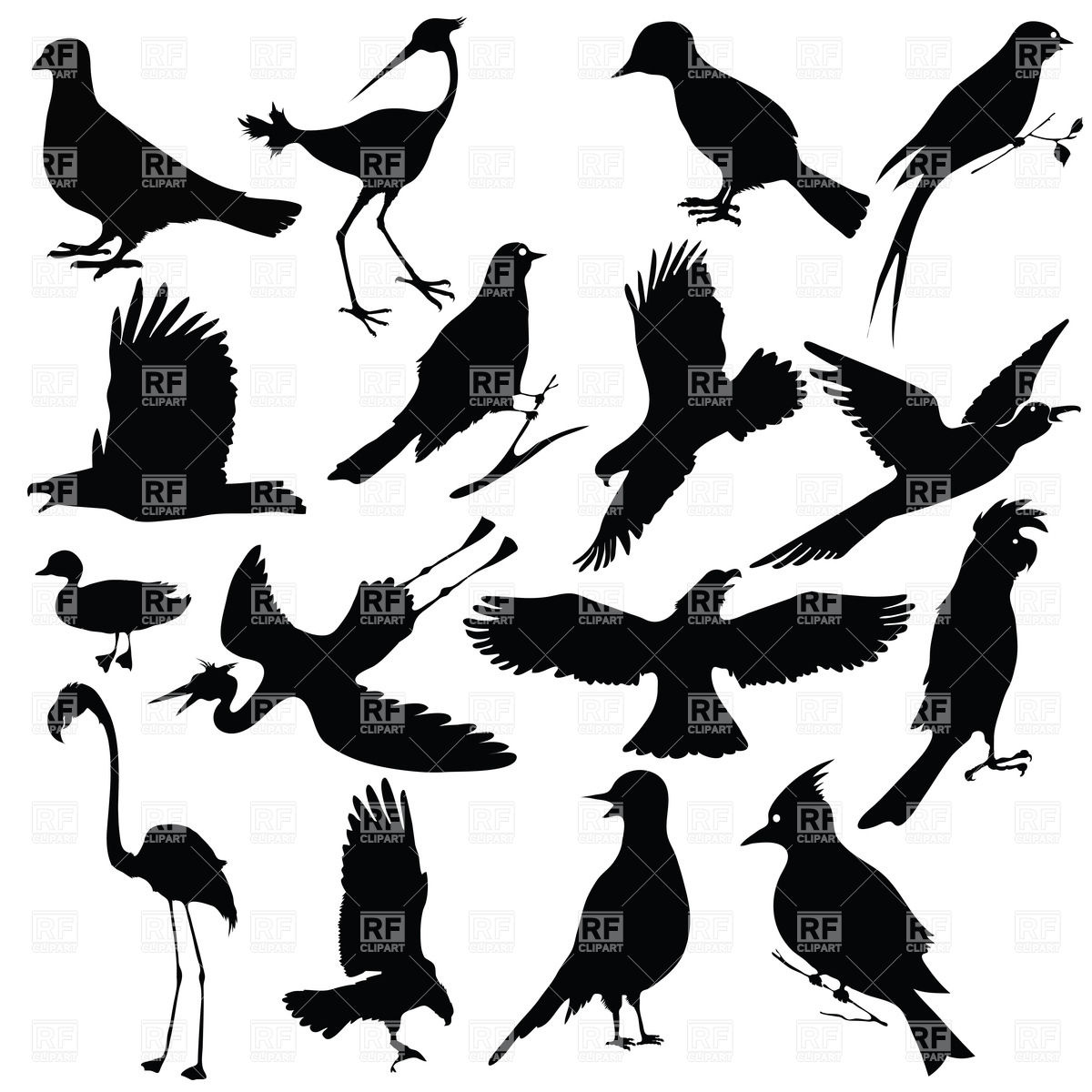 1200x1200 Silhouettes Of Birds Vector Image Of Plants And Animals