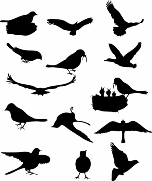 308x368 Bird Free Vector Download