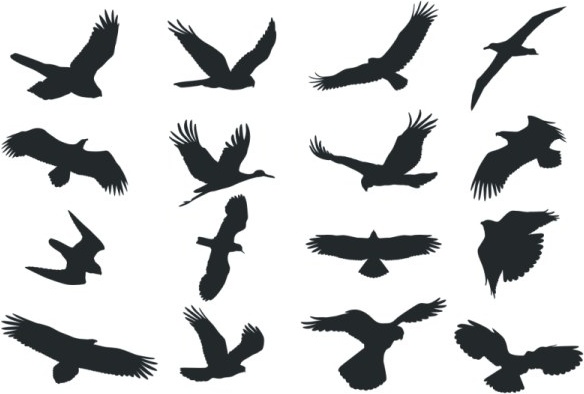 584x394 Bird Silhouette Vector Free Vector In Coreldraw Cdr