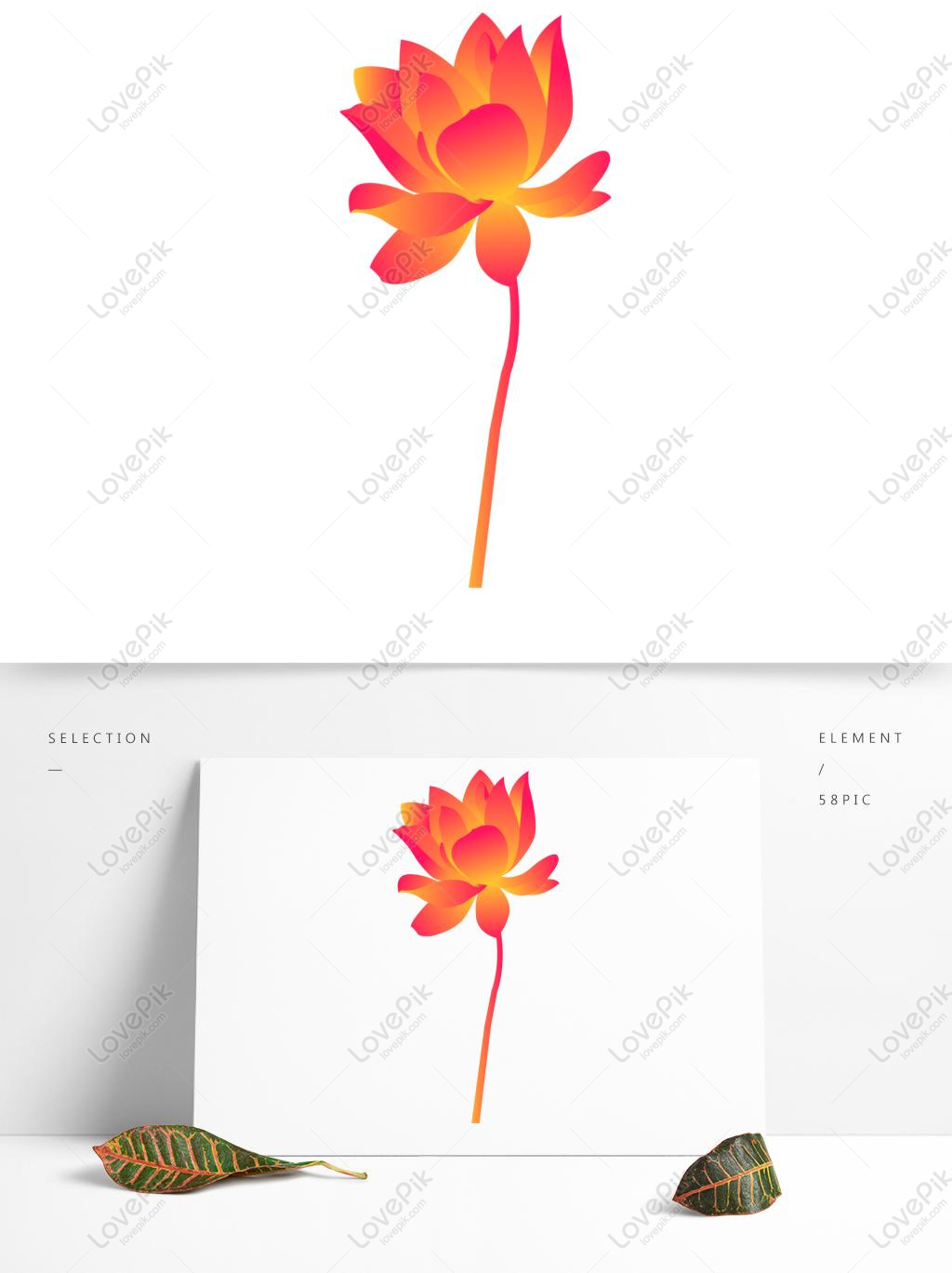 1024x1369 Vector Original Gradiente Mano Dibujado Flor De Loto