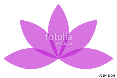 500x334 Flor De Loto De Color Rosa Stock Image And Royalty Free Vector