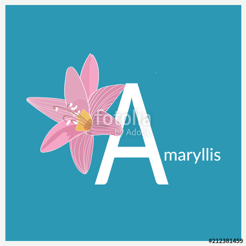 500x500 Letter A Floral Alphabet Vector Graphic Design Abc Design