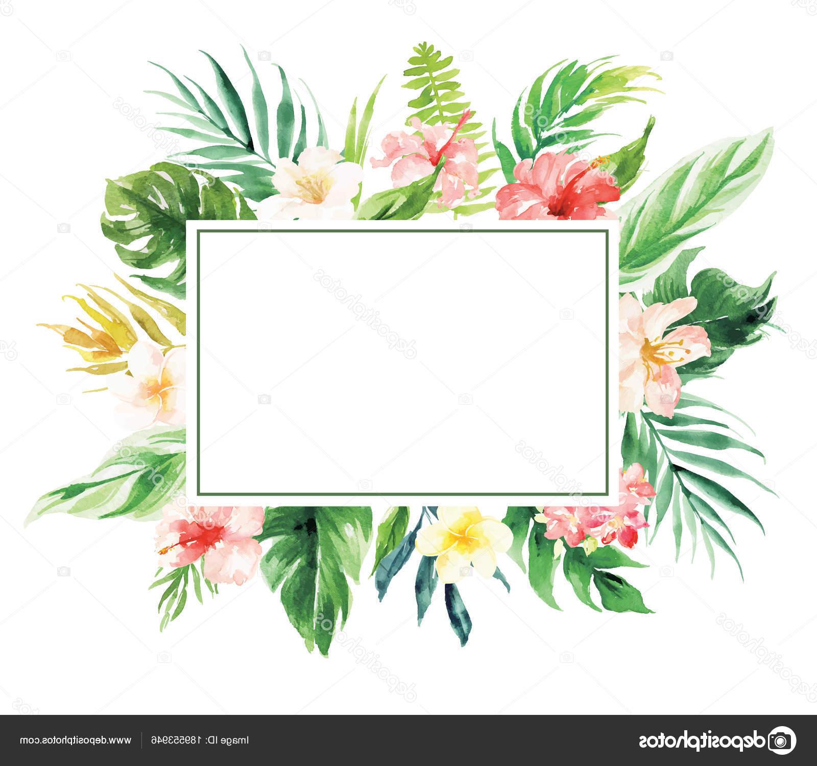 Download Floral Border Vector at Vectorified.com | Collection of ...