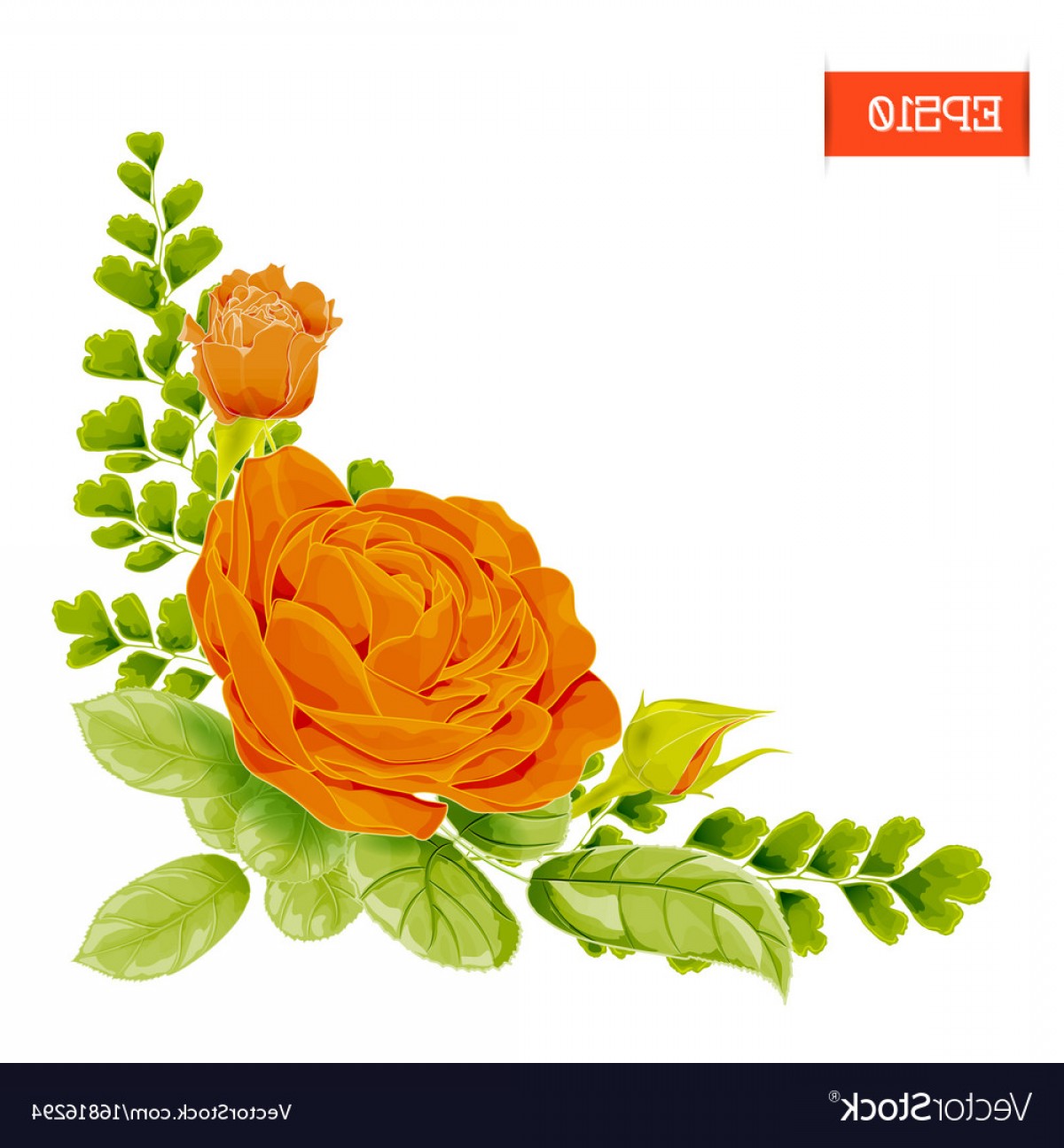1200x1296 Orange Flowers Corner Vector Handandbeak