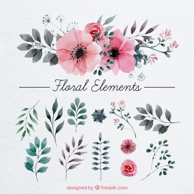 626x626 Floral Vectors, Photos And Free Download