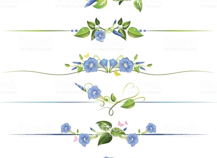 Floral Divider Vector