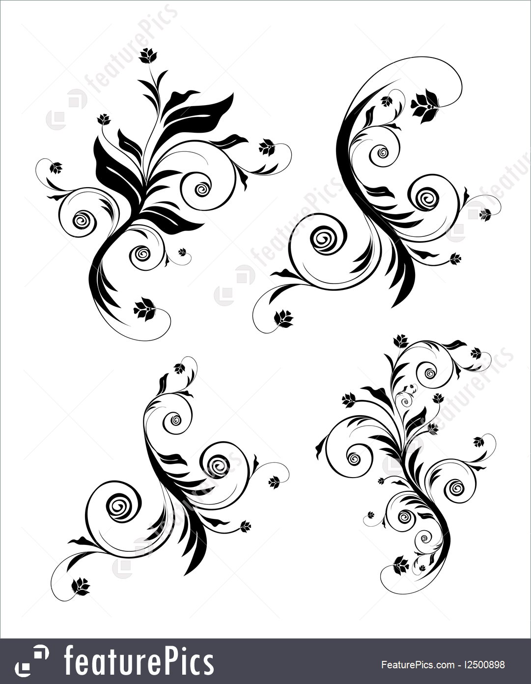 1081x1392 Floral Elements Illustration