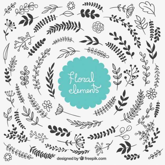 626x626 Floral Decorative Elements Free Vectors Ui Download