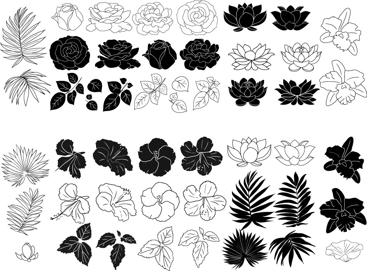 1200x889 Flowers And Leaves Elements Vector Set Free Download