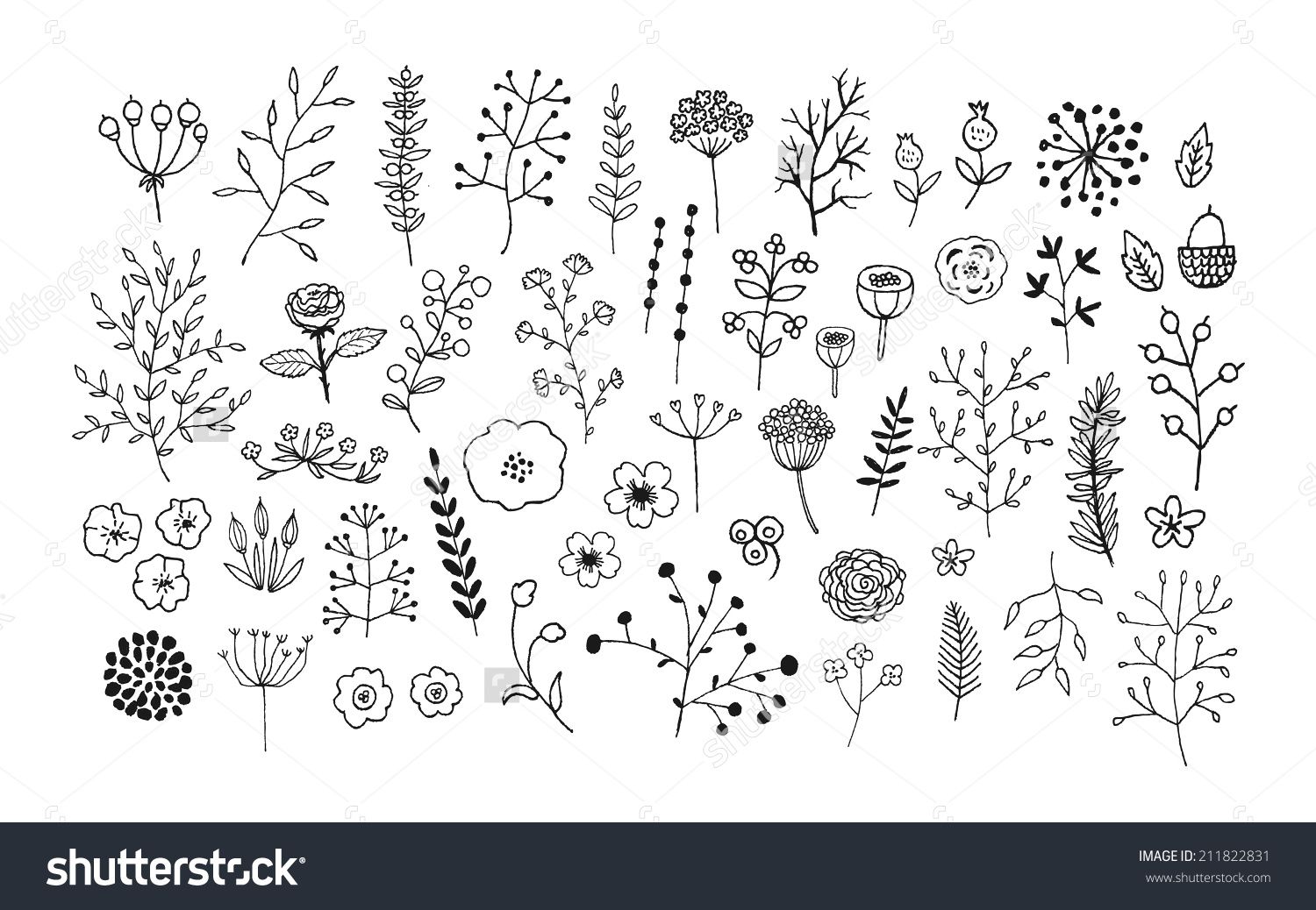1500x1038 Hand Drawn Vintage Floral Elements Vector Isolated Doodles