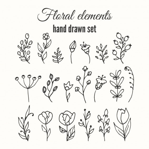 626x626 Hand Drawn Floral Elements Collection Vector Free Download