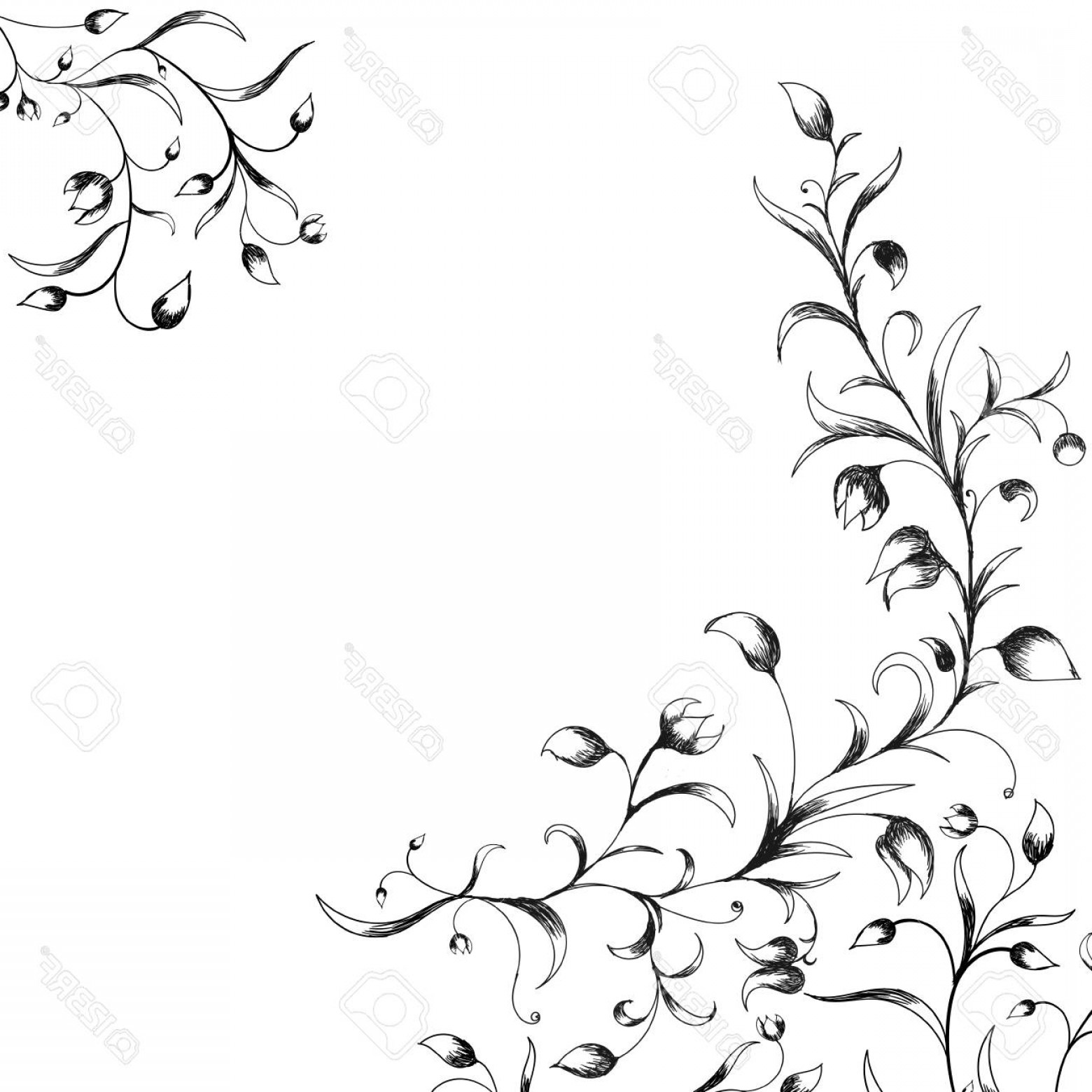 1560x1560 Photostock Vector Hand Drawn Flower Border And Bouquet Vector