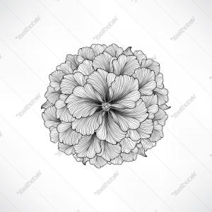 300x300 Photostock Vector Floral Flourish Decorative Background Studiogrfx