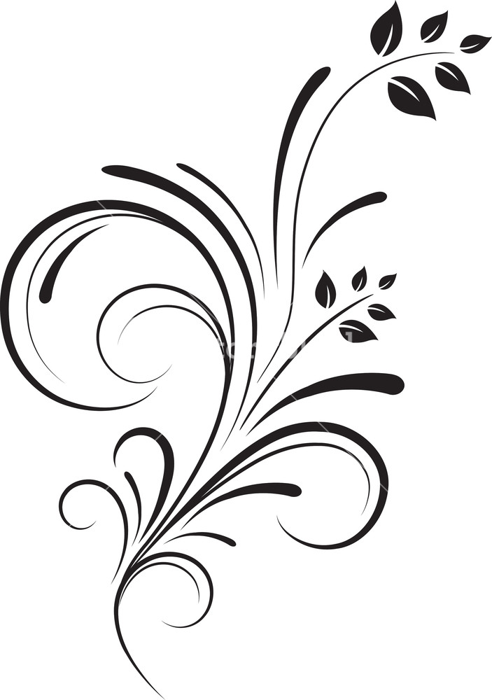 703x1000 Vector Floral Flourish Royalty Free Stock Image