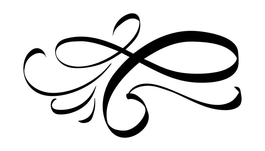 860x490 Vector Floral Calligraphy Element Flourish Hand Drawn Divider