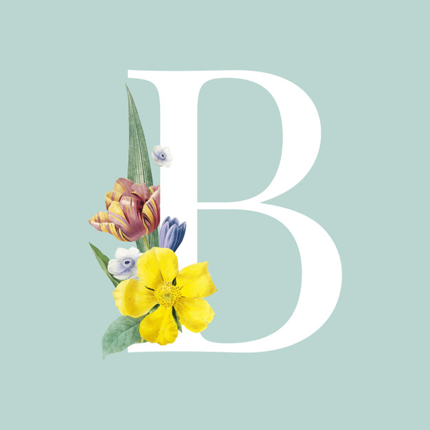 Floral Capital Letter B Alphabet Vector Vector Free Download 626x626 Floral Capital Letter B Alphabet Vector Vector Free Download