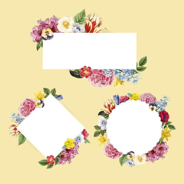 626x626 Vectors Blank Floral Frame Collection Vector Free Vector Best