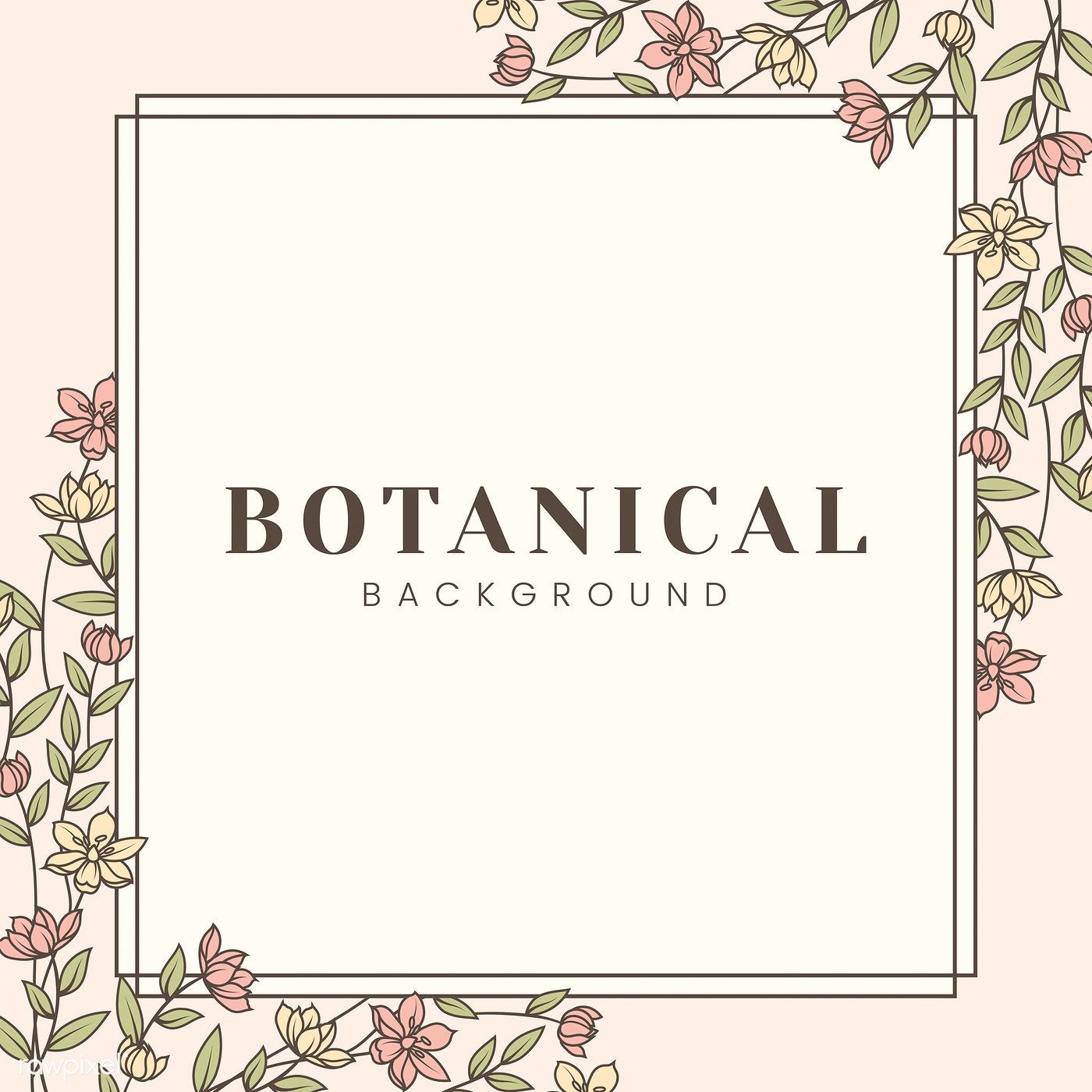 1400x1400 Botanical Background With Floral Frame Vector Free Image