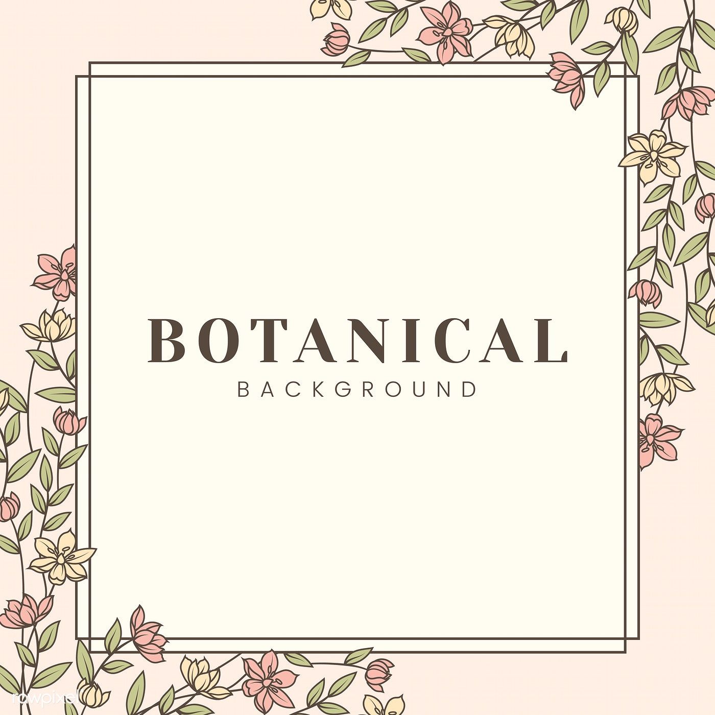 Botanical Background With Floral Frame Vector Free Image 1400x1400 Botanical Background With Floral Frame Vector Free Image