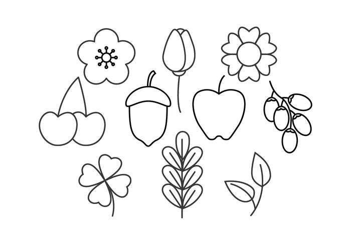 700x490 Free Floral Line Icon Vector