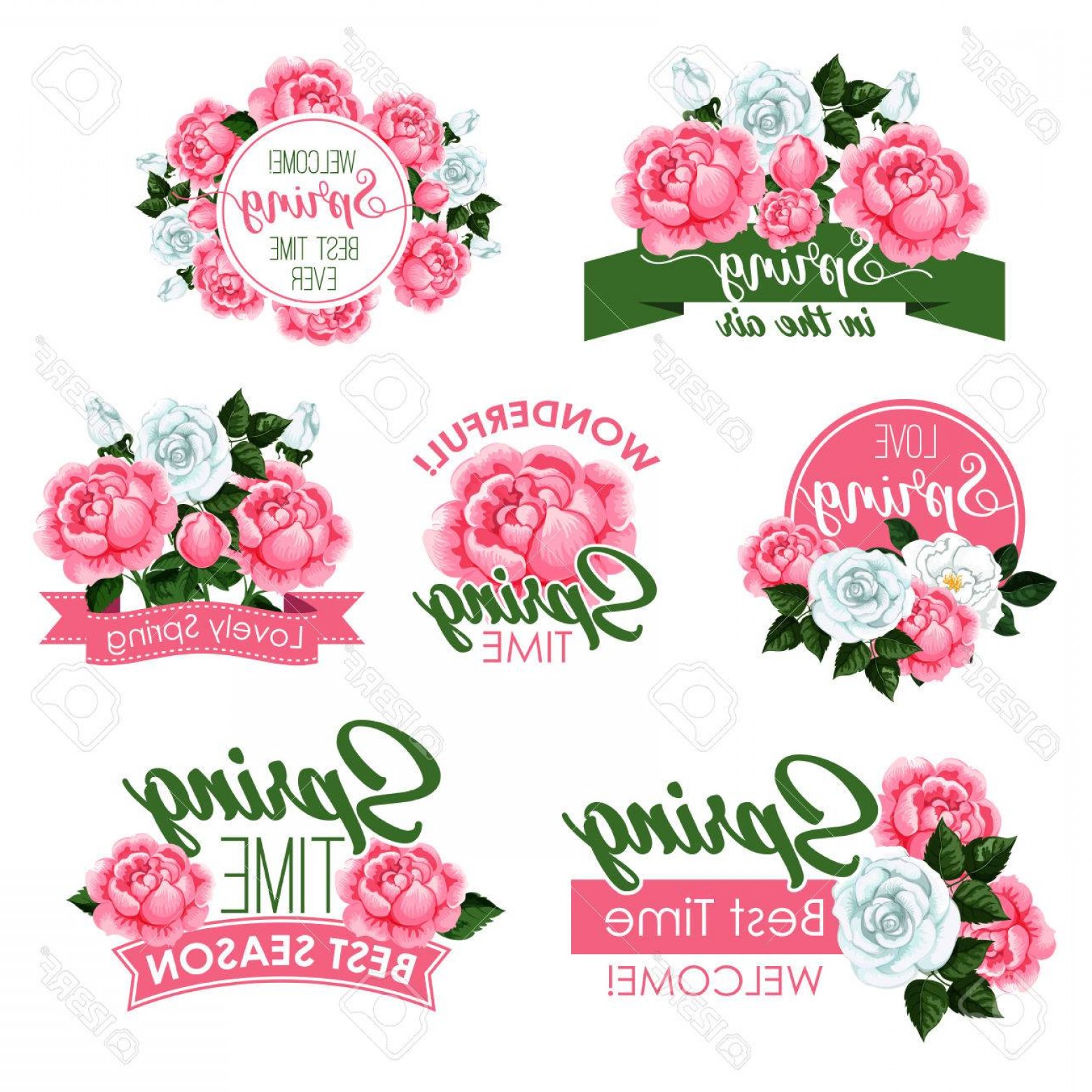 1560x1560 Vector Ribbon Rose Lamaison