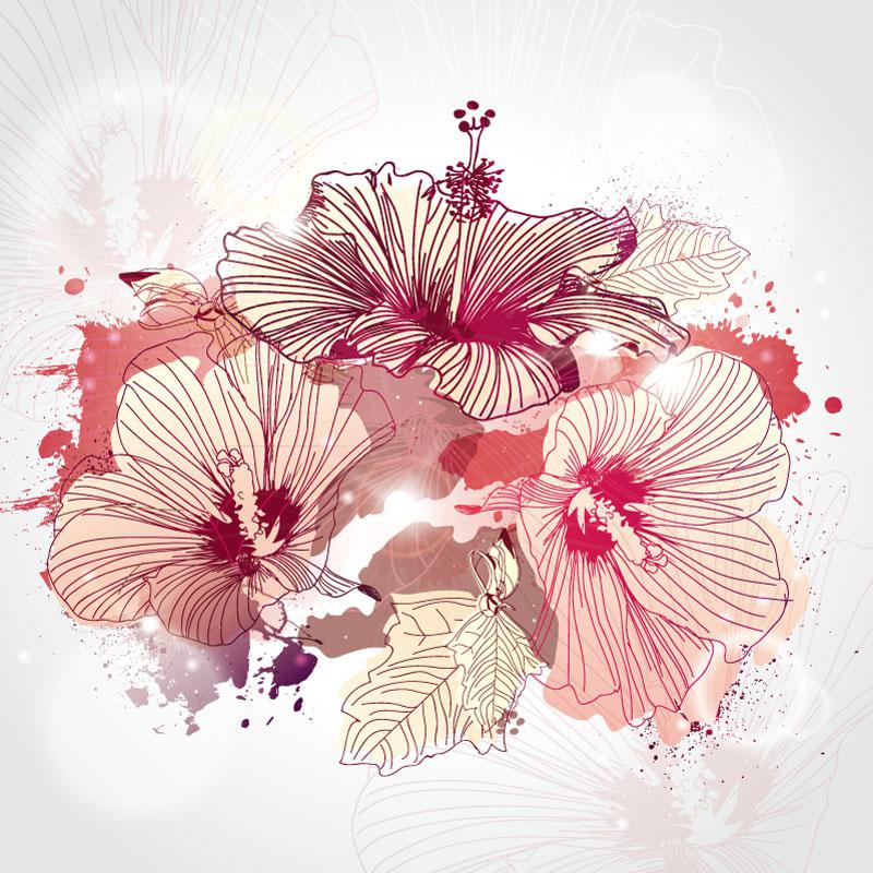 800x800 Exquisite Flower Illustration Vector