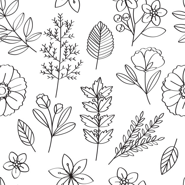626x626 Floral Vector Pattern Design Illustration Vector Free Download