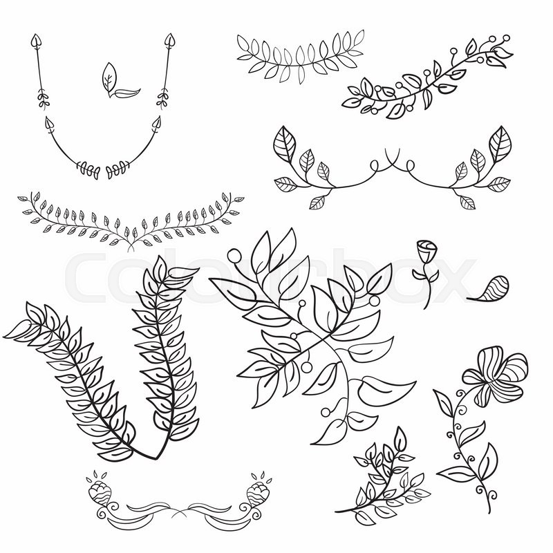 800x800 Hand Drawing Floral Leaf Ornament Stock Vector Colourbox