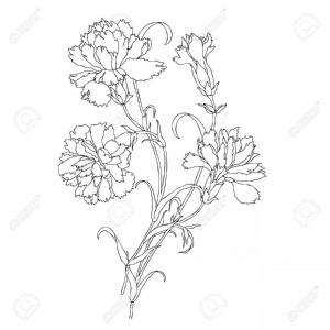 300x300 Photostock Vector Elegance Seamless Pattern With Flowers Carnation