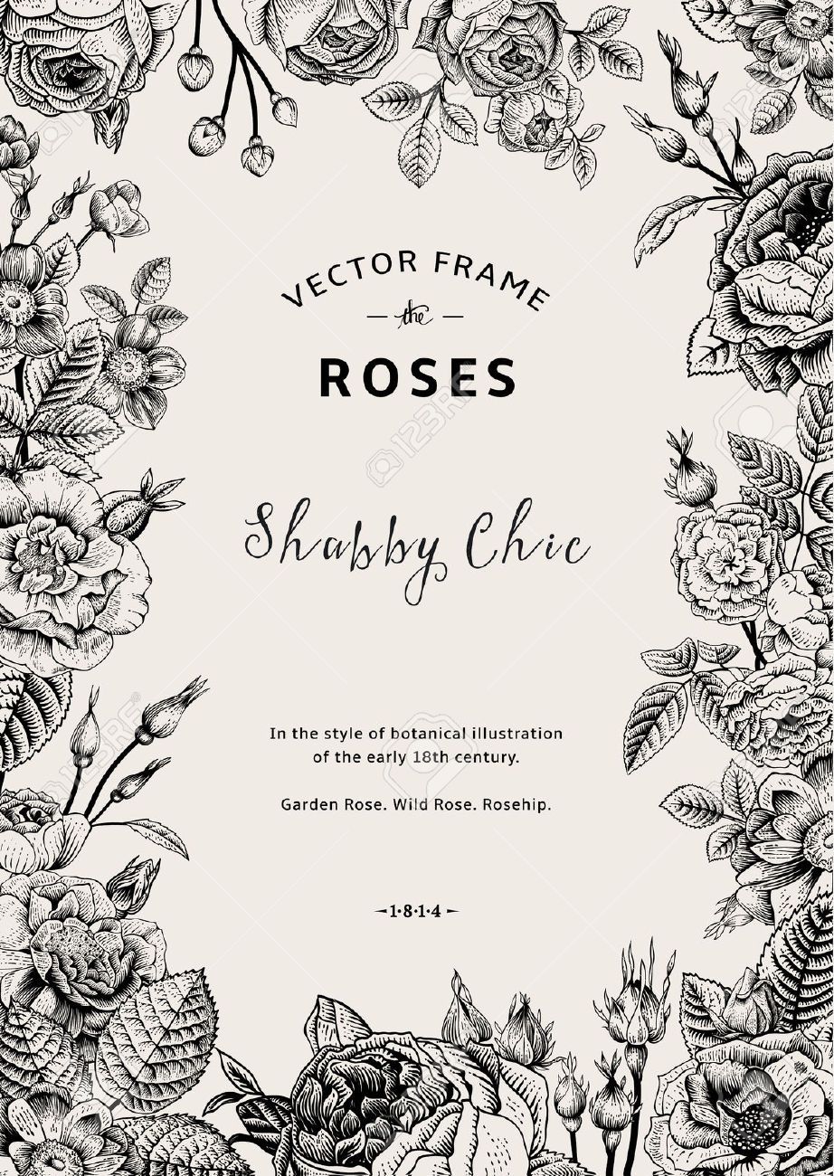 922x1300 Illustration Botanical Drawings