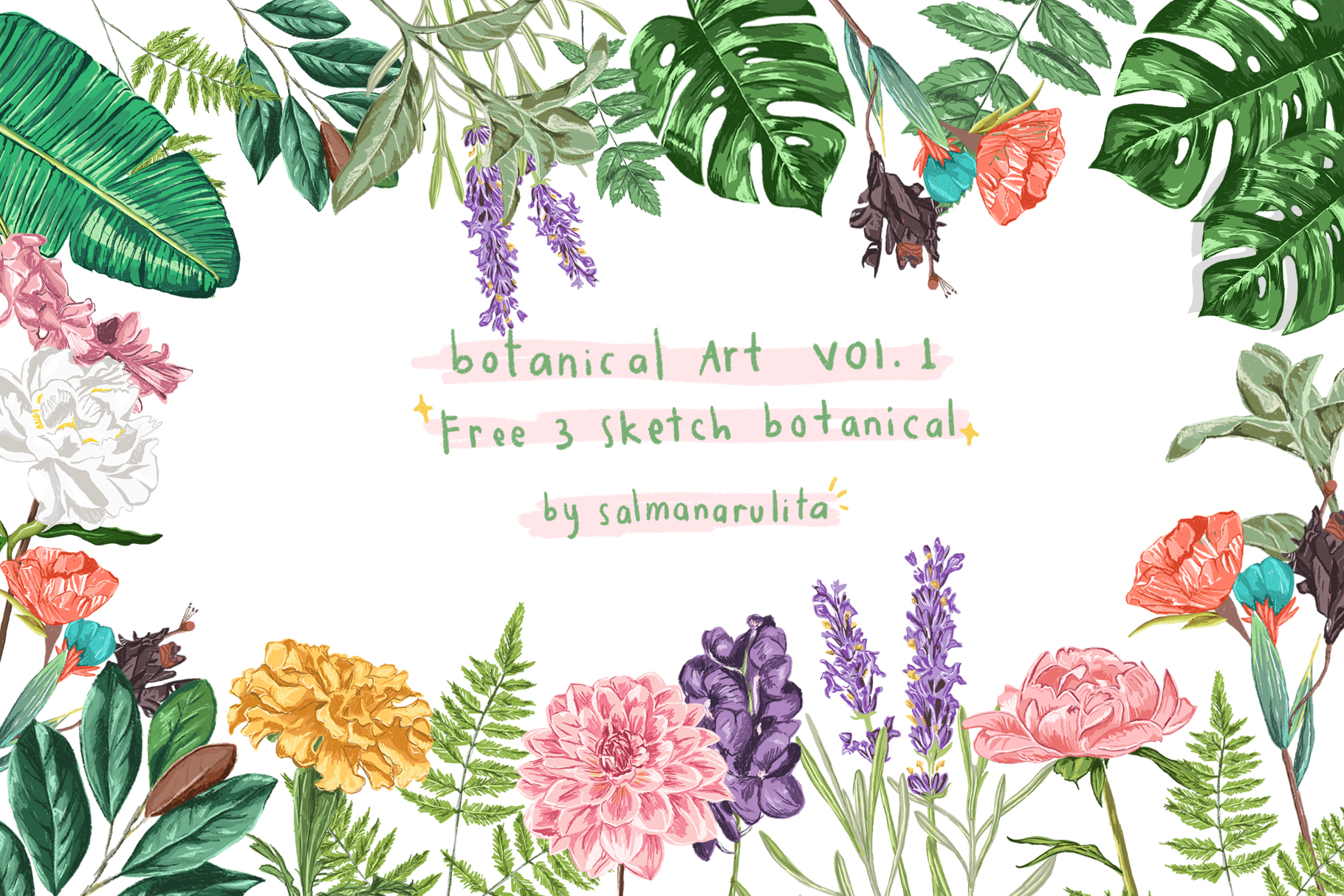 1820x1214 Colored Botanical Illustration Graphic