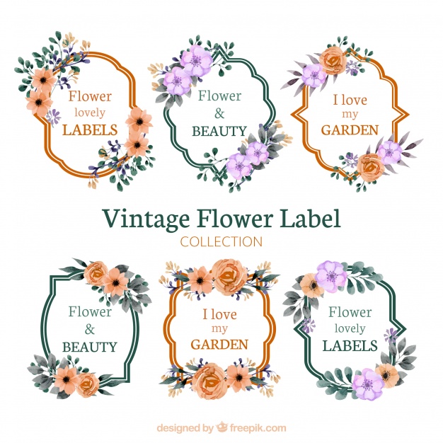 626x626 Vintage Floral Label Collection Vector Free Download
