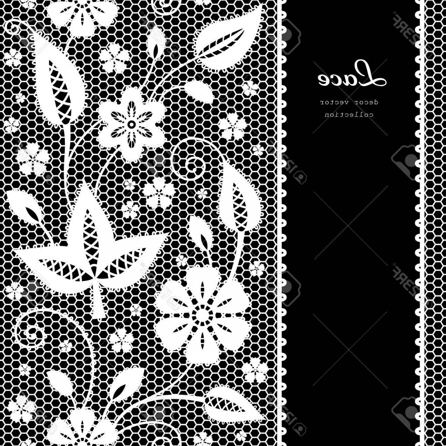 1560x1560 Floral Lace Vector Lamaison