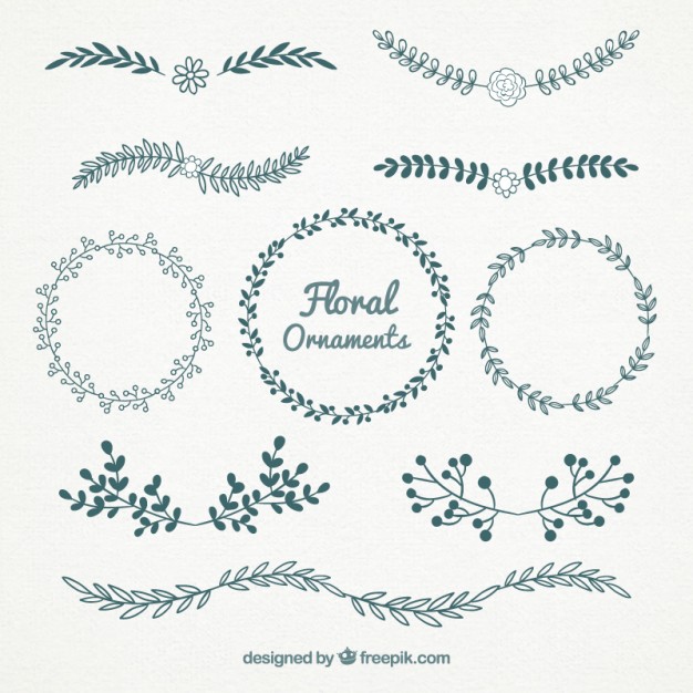626x626 Beautiful Floral Ornaments Vector Free Download