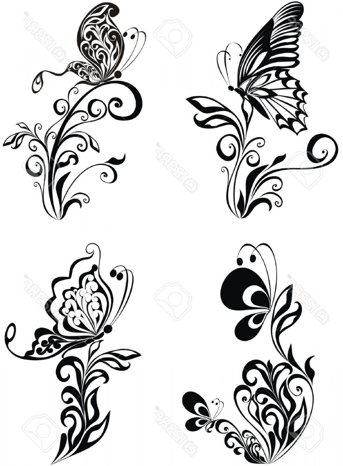1148x1560 Photodecorative Vector Ornament Vector Floral Ornament