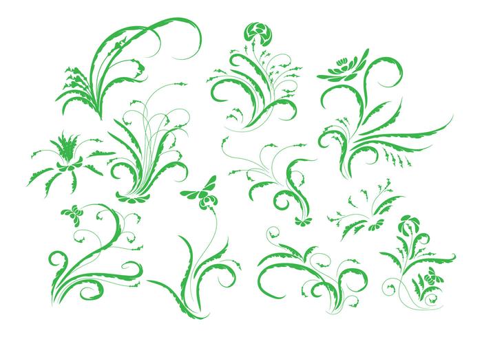 700x490 Vintage Floral Ornament Vector