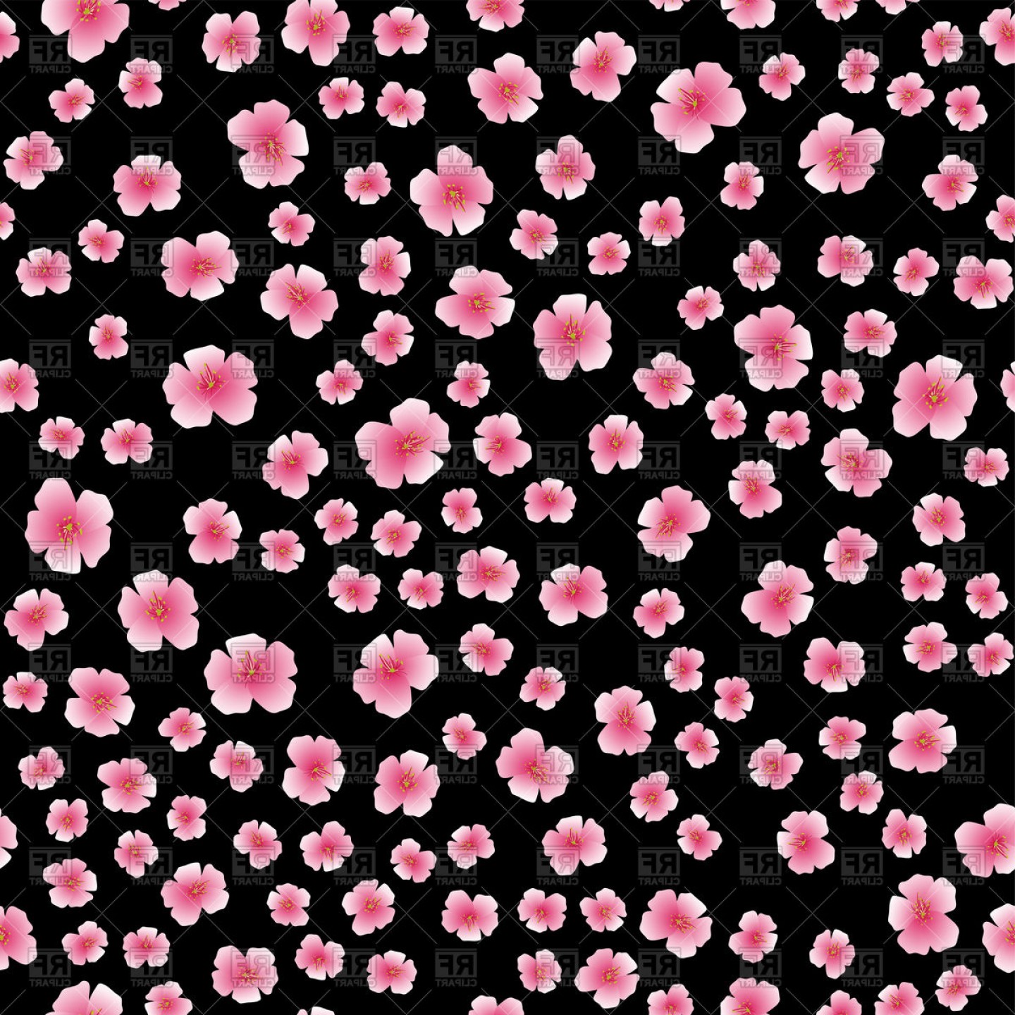 1440x1440 Floral Seamless Pattern With Blossom Sakura Flower On Black
