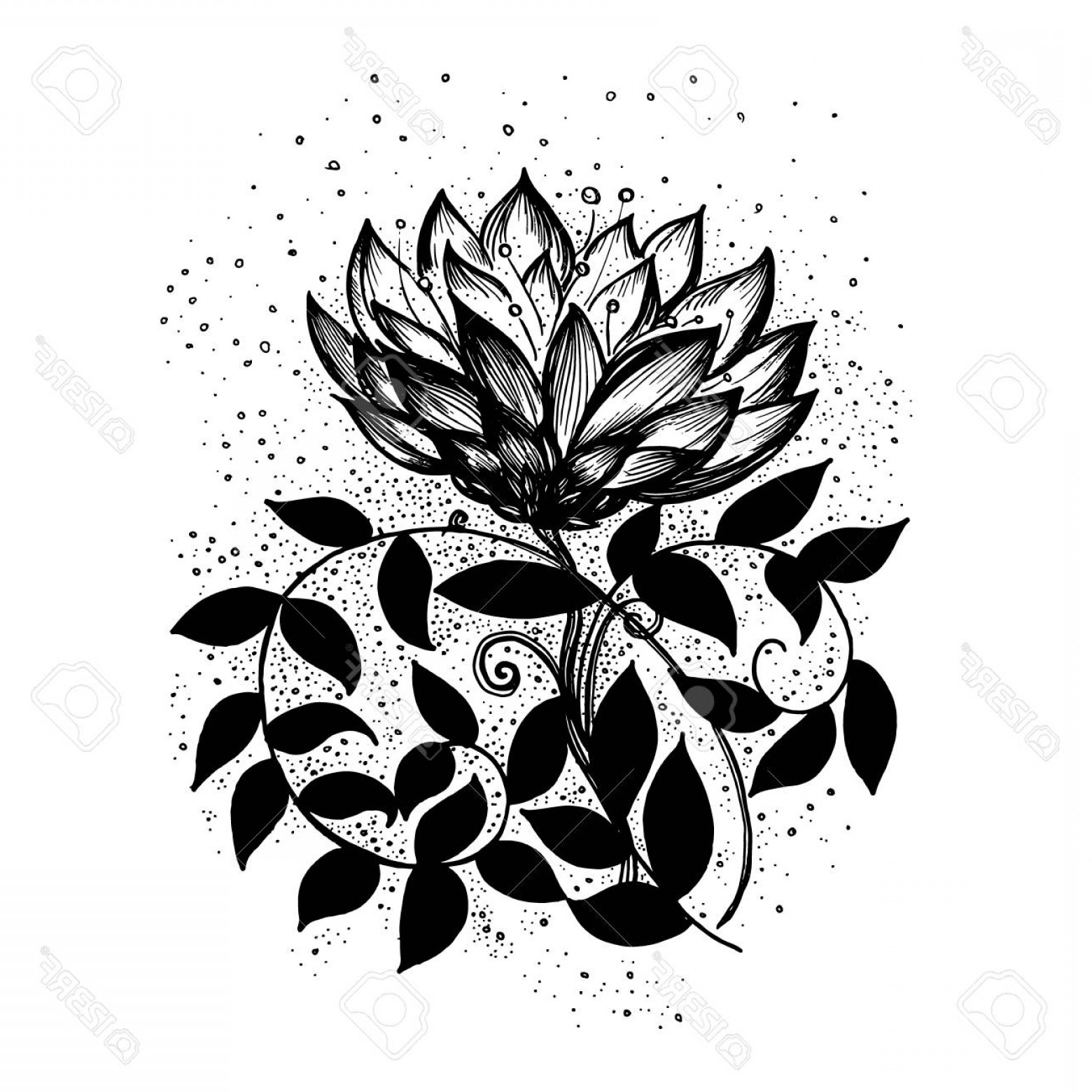 1560x1560 Photostock Vector Abstract Floral Pattern Vector Black And White