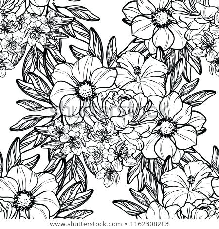 450x470 Vector Flowers For Print